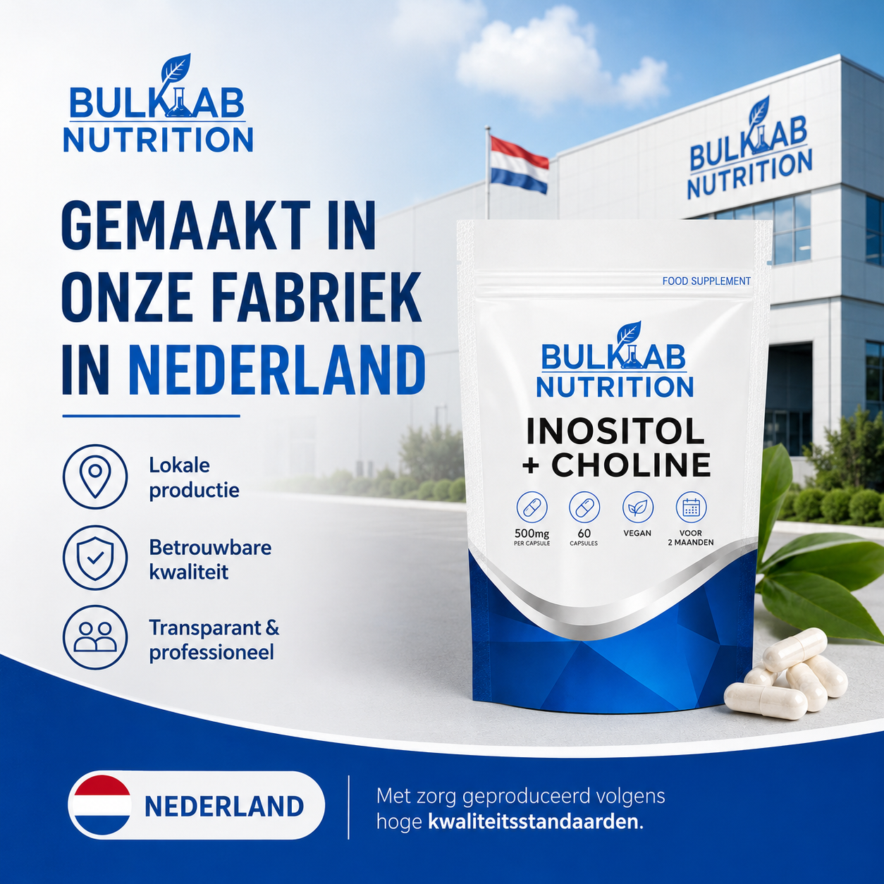 Inositol + Choline - Capsules - BulkLab Nutrition